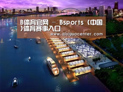 案例展示八