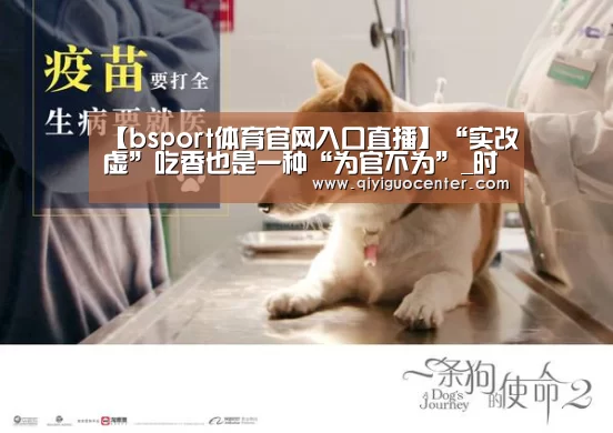 bsport体育官网入口直播