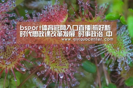 bsport体育官网入口直播