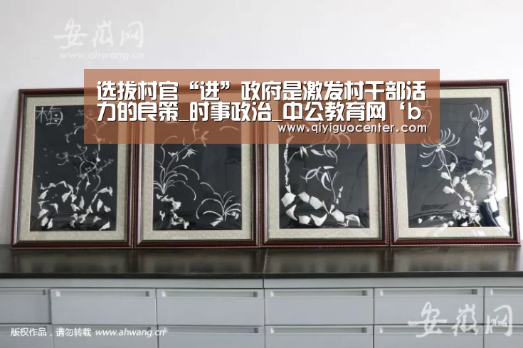 选拔村官“进”政府是激发村干部活力的良策_时事政治_中公教育网‘bsport体育官网入口直播’(图1) b体育中国官网